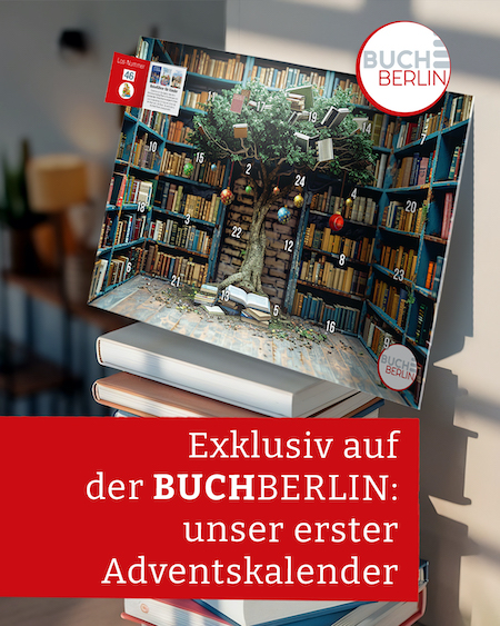 Adventskalender INSTA